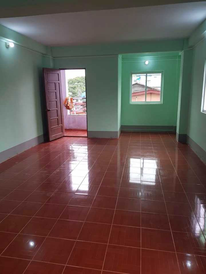 viber_image_2024-09-11_10-29-39-249