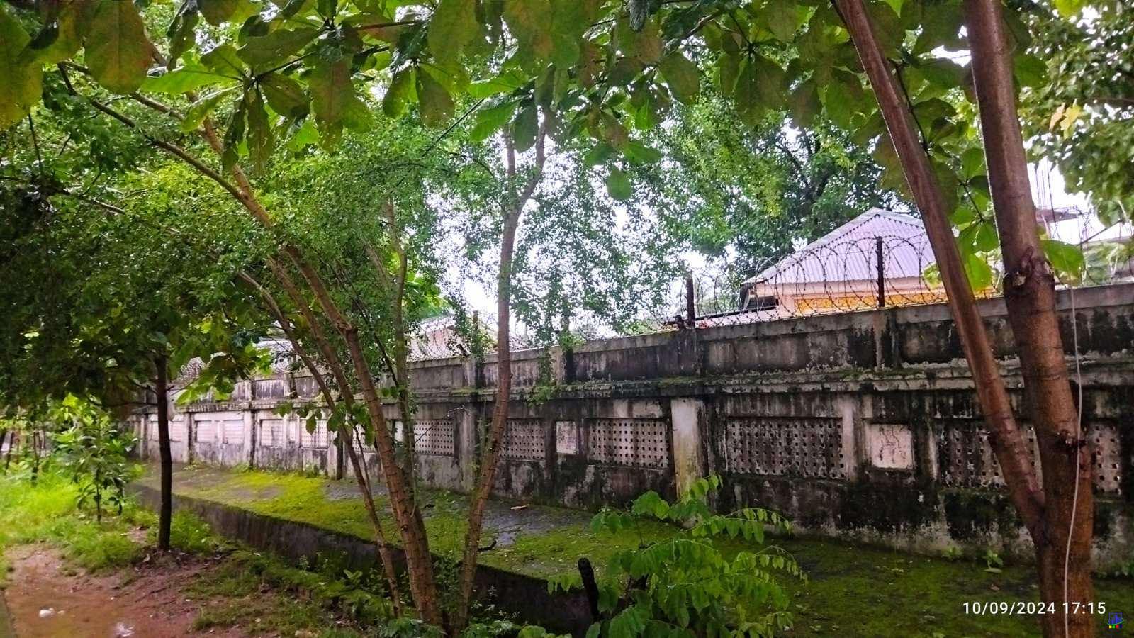 viber_image_2024-09-13_10-16-36-656