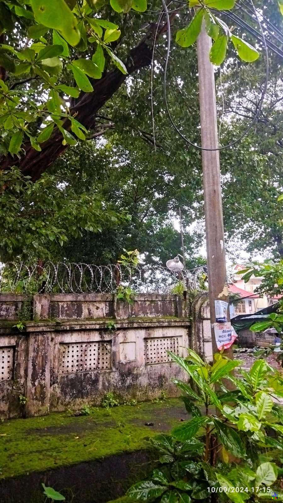 viber_image_2024-09-13_10-16-37-418