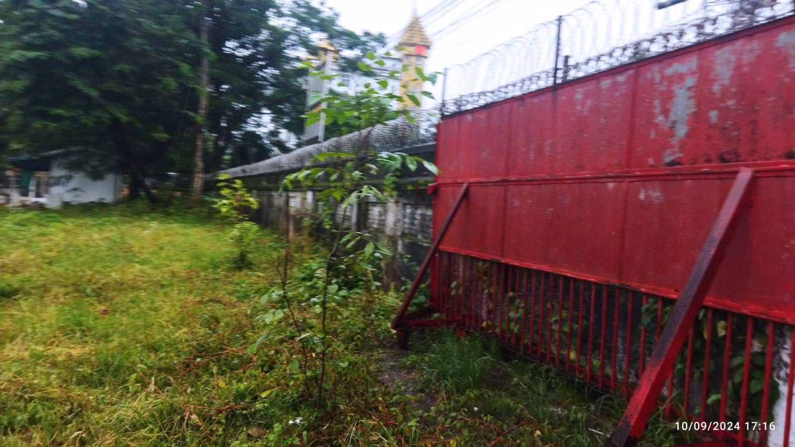 viber_image_2024-09-13_10-16-38-419