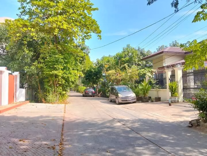 viber_image_2025-02-06_09-31-10-295