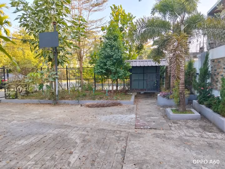 viber_image_2025-02-06_09-49-41-567