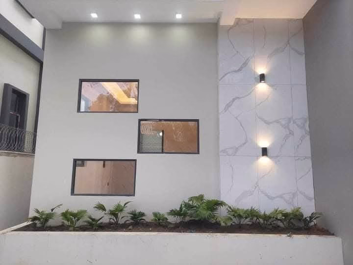 viber_image_2025-02-06_09-50-08-866