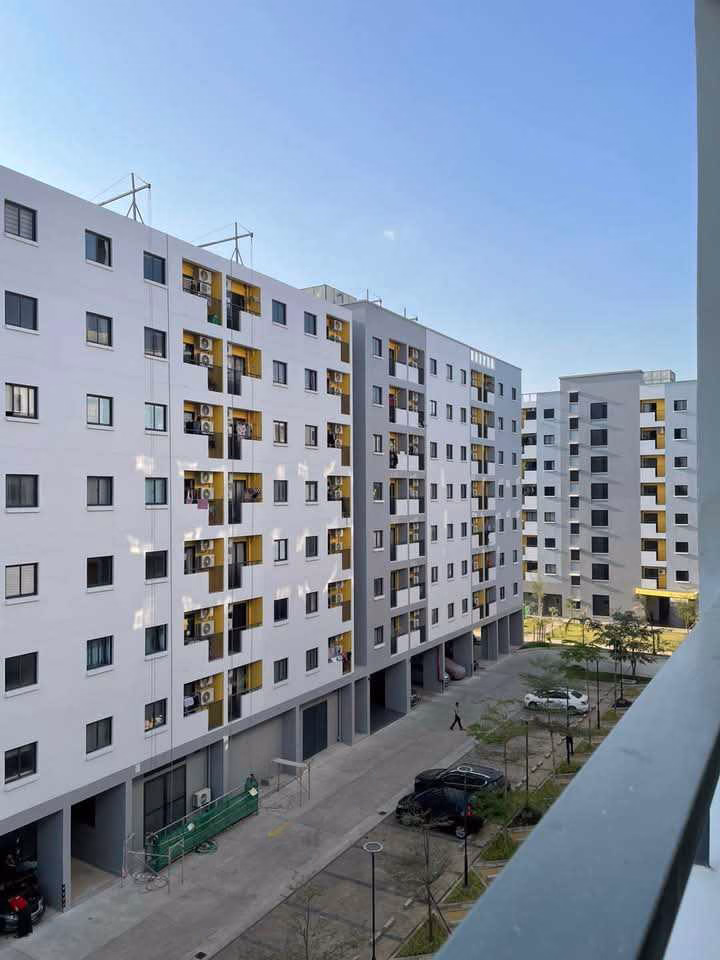 viber_image_2025-02-10_12-29-14-417