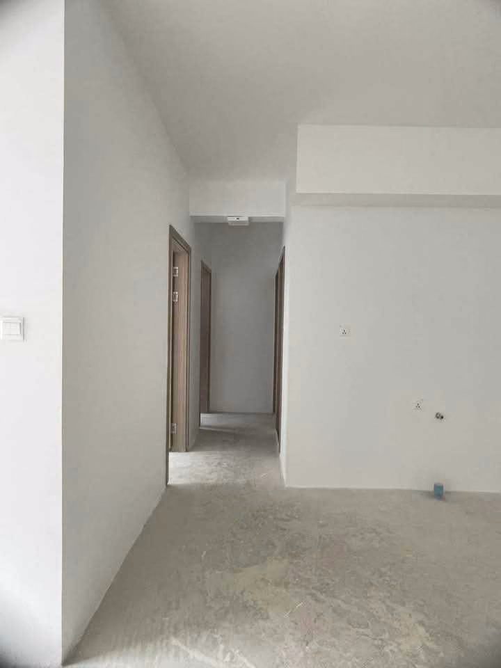 viber_image_2025-02-10_12-29-16-732