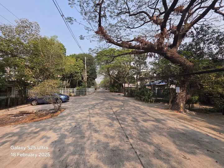 viber_image_2025-02-21_12-48-56-353