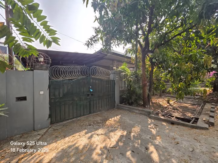 viber_image_2025-02-21_12-48-56-500