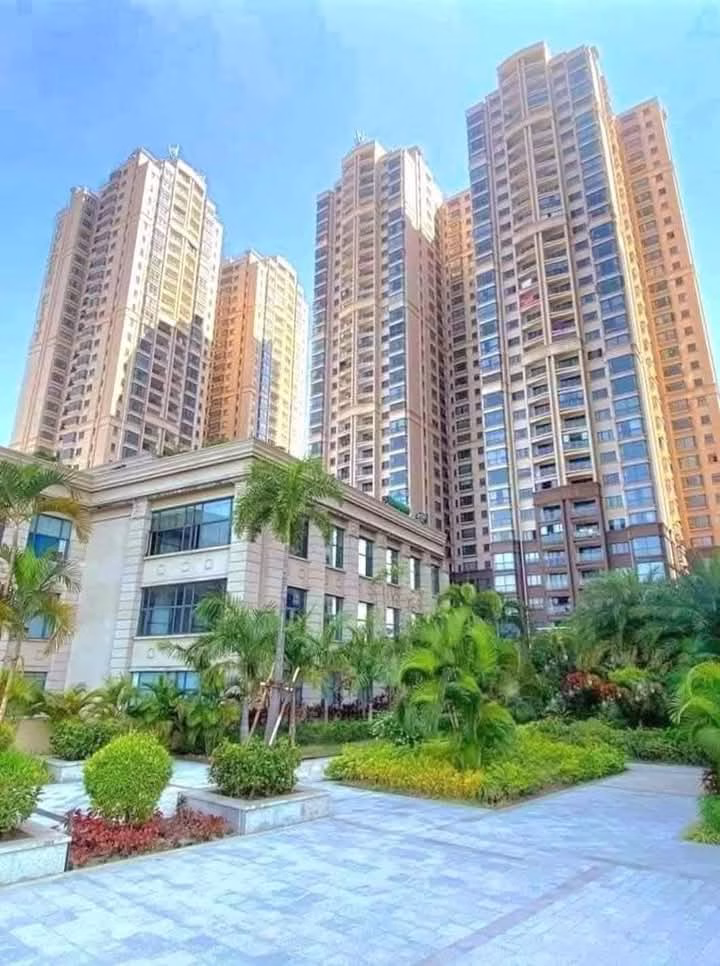 viber_image_2025-02-24_09-28-36-849