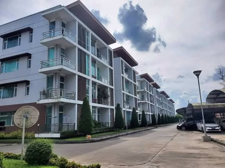 viber_image_2025-02-24_10-16-24-473