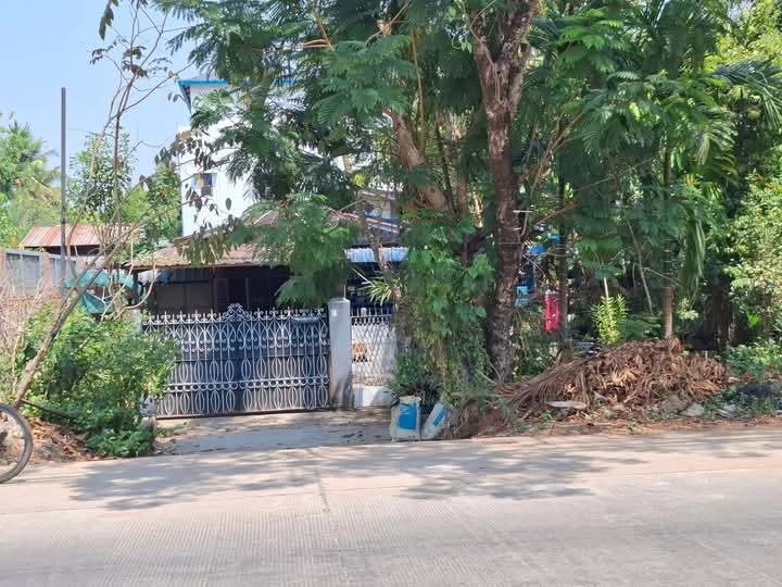 viber_image_2025-03-26_09-54-46-259