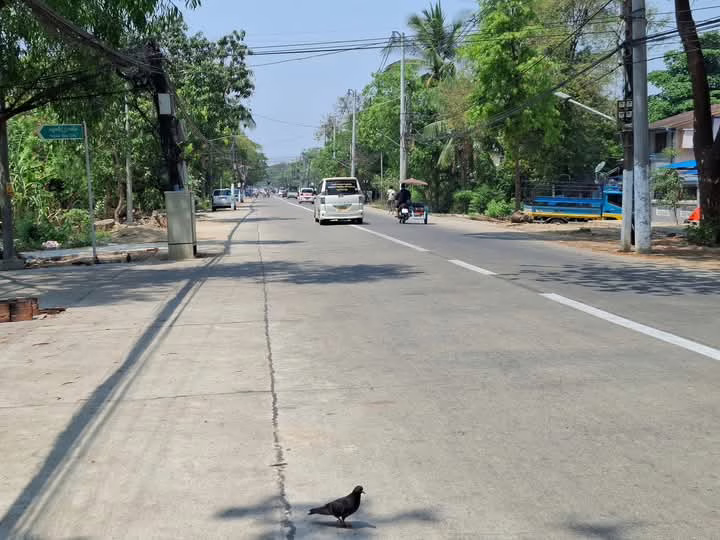 viber_image_2025-03-26_09-54-46-863