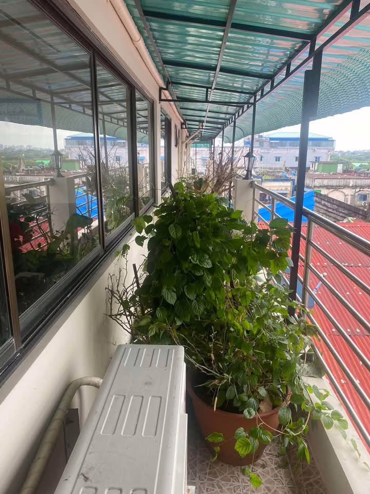 viber_image_2025-03-26_13-17-49-107