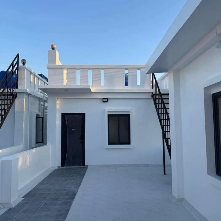 viber_image_2025-04-03_14-38-48-580