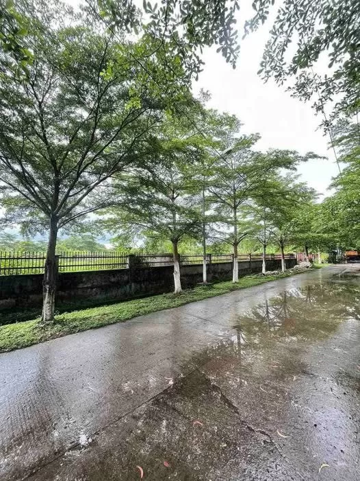 579394504_850487654175138_5006607114083293109_n