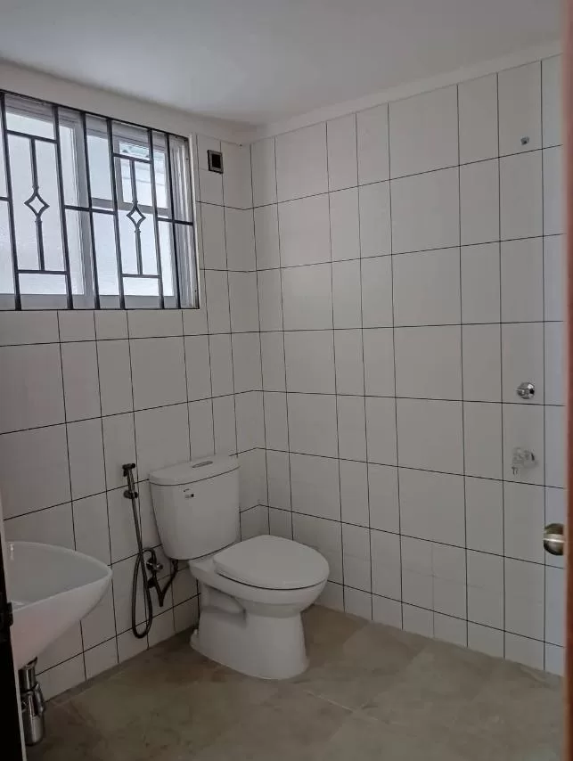 viber_image_2025-11-18_13-12-11-520