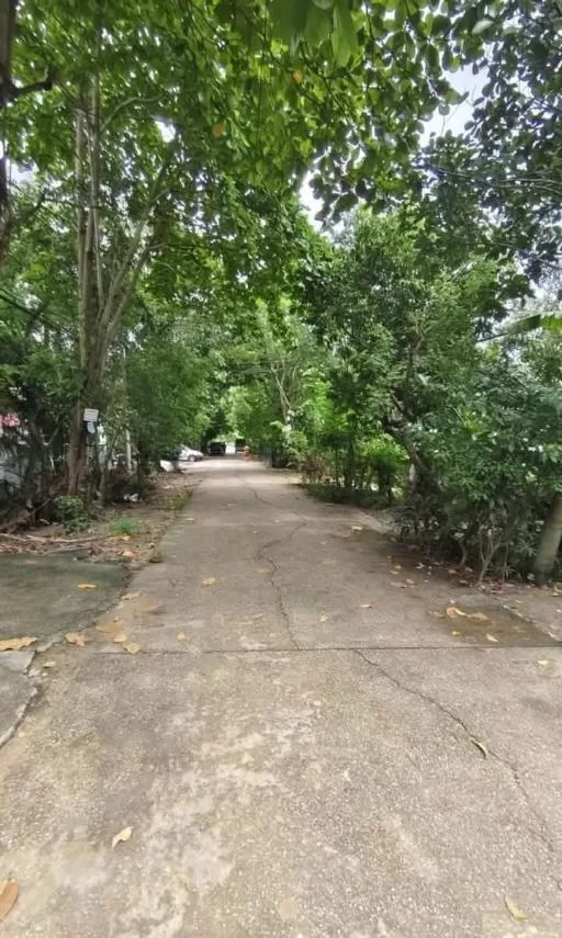 viber_image_2025-11-18_13-13-19-298