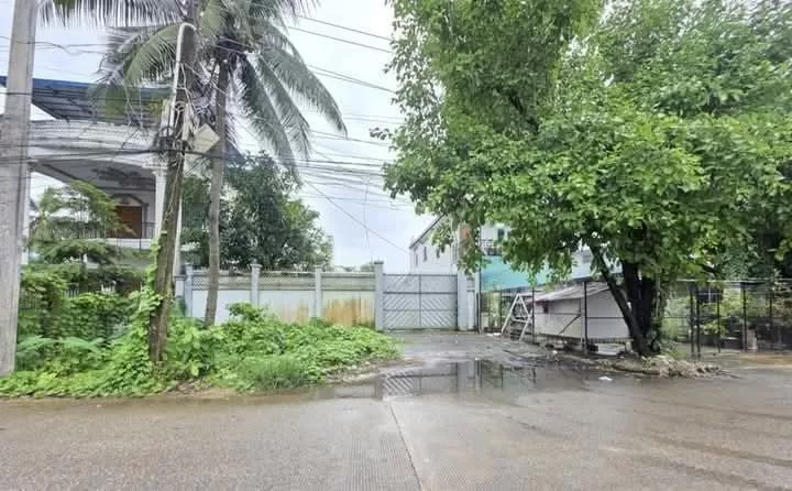 viber_image_2025-11-18_13-13-47-090