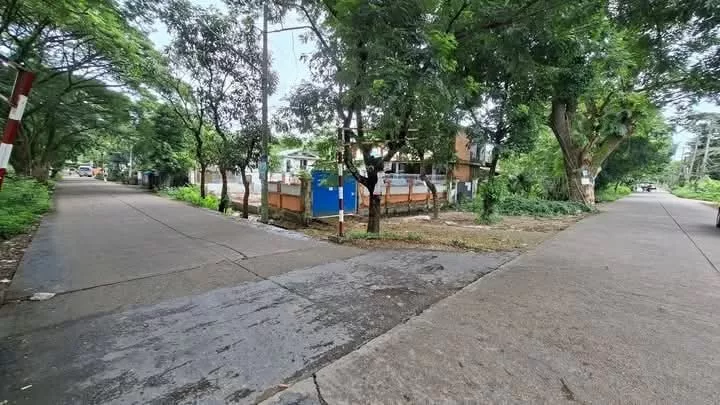 viber_image_2025-11-20_15-51-27-384