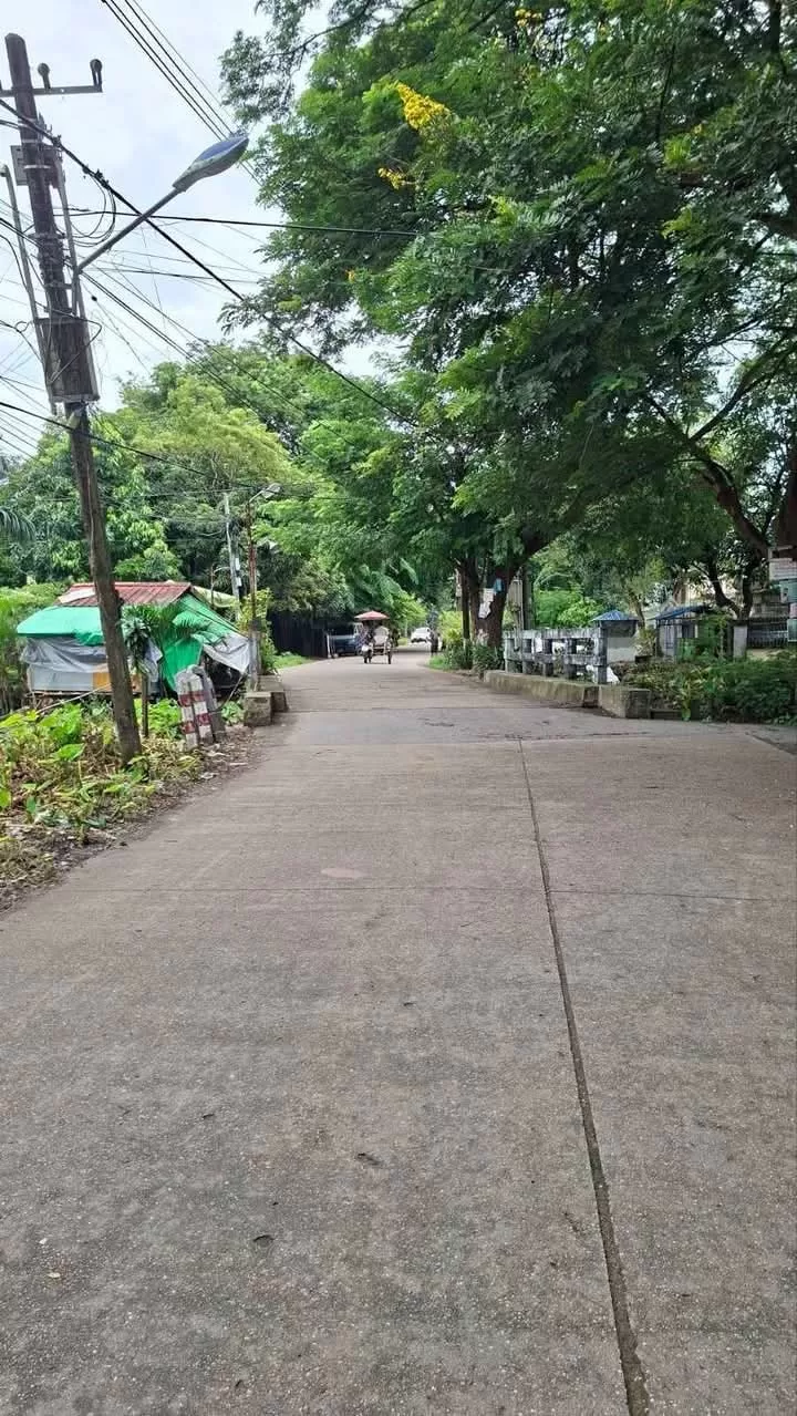 viber_image_2025-11-20_15-51-29-610