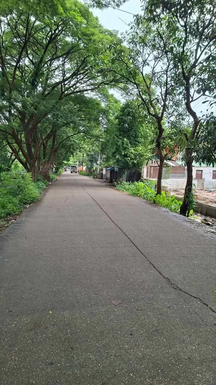 viber_image_2025-11-20_15-51-29-700