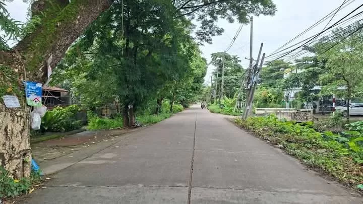 viber_image_2025-11-20_15-51-31-623