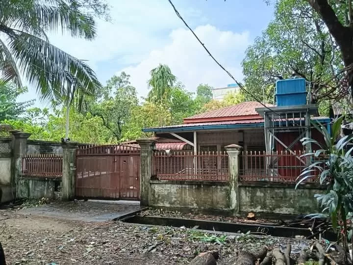 viber_image_2025-11-20_15-52-44-074