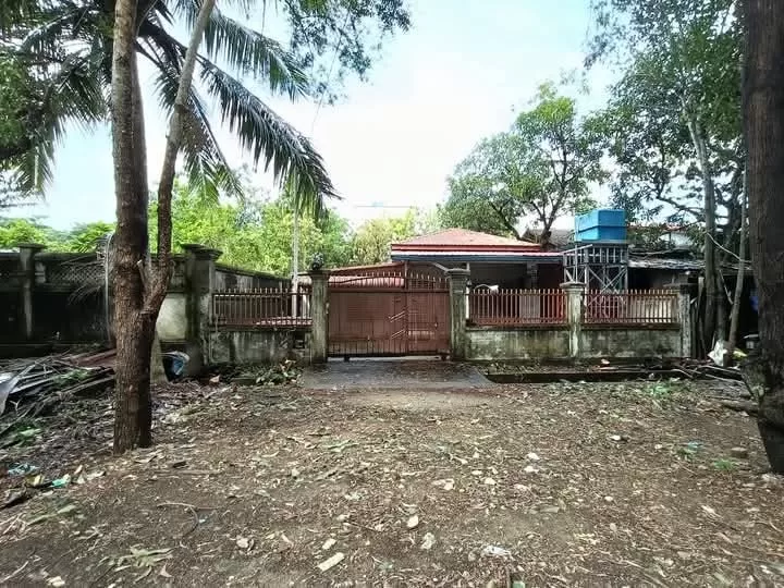 viber_image_2025-11-20_15-52-45-350