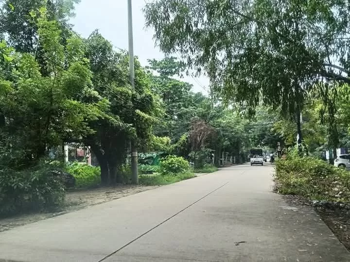 viber_image_2025-11-20_15-52-46-537