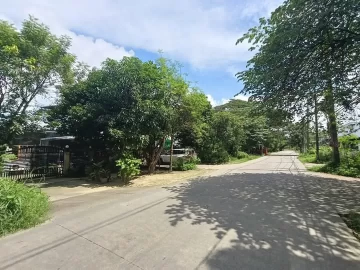 viber_image_2025-11-20_15-53-36-554