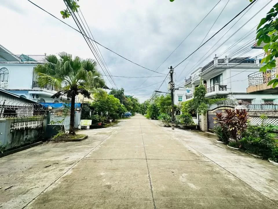 viber_image_2025-11-26_10-19-14-849