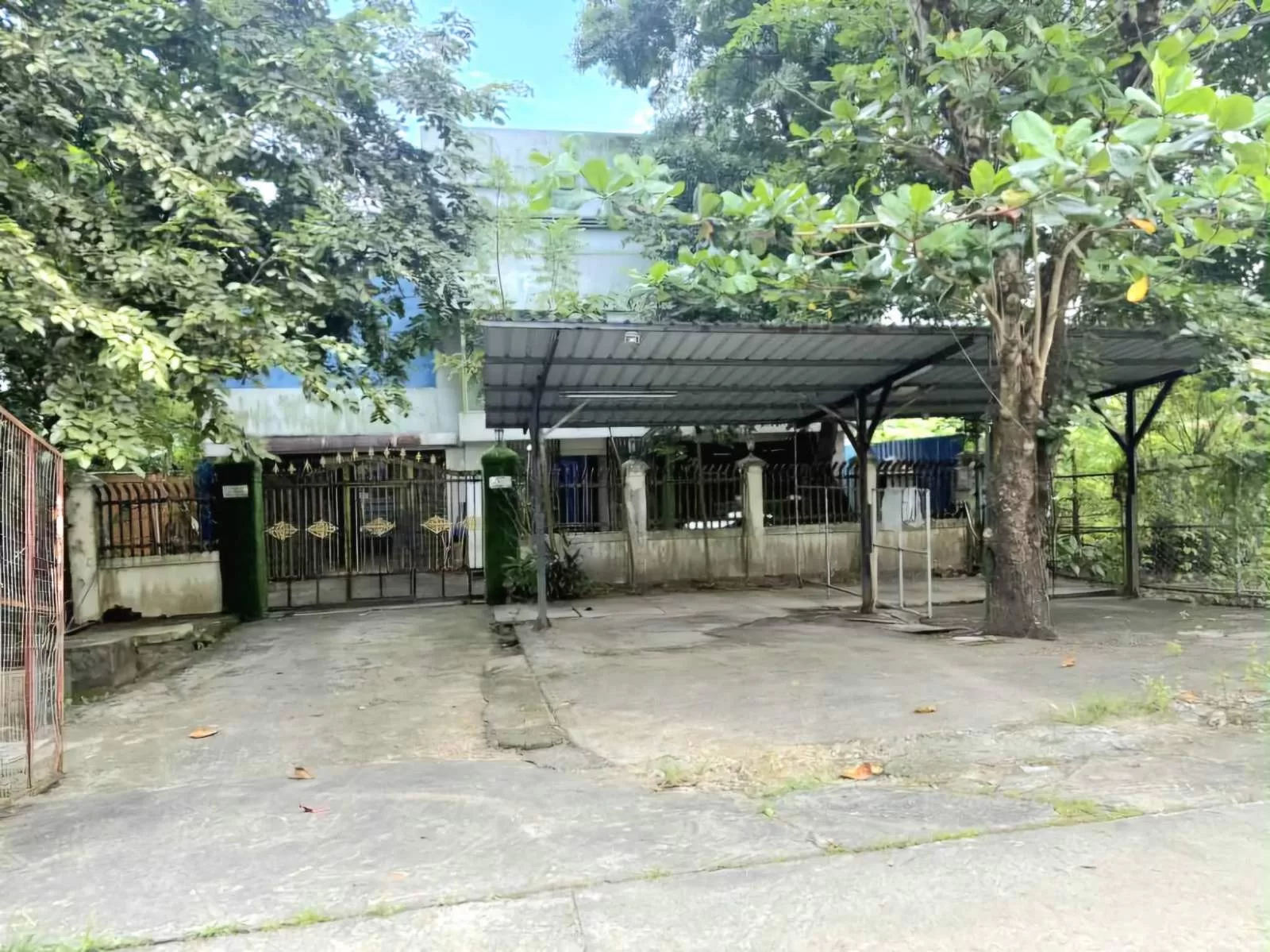 viber_image_2025-11-26_10-28-32-133