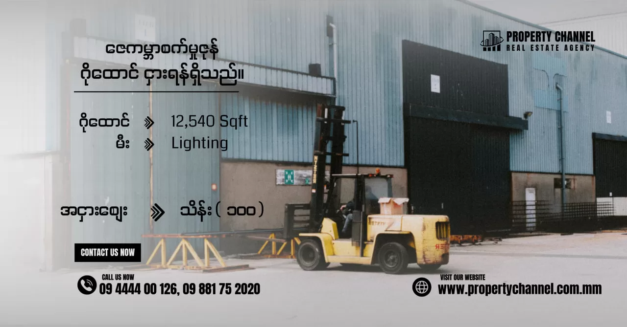 photo_2026-01-11_10-30-28