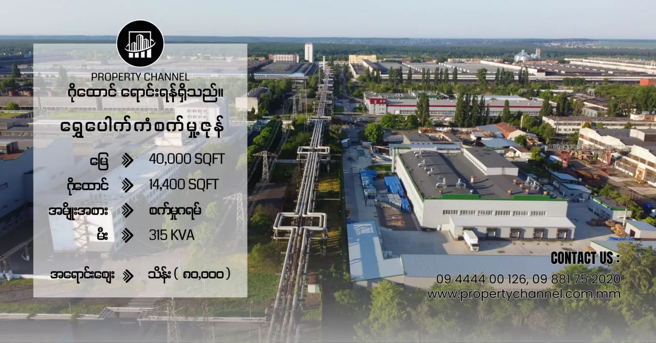 photo_2026-01-11_10-39-52