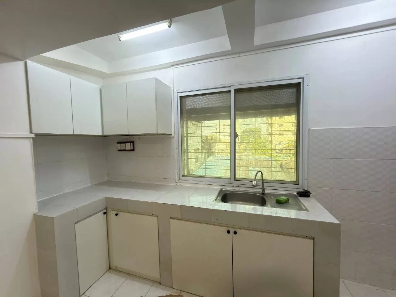 photo_10_2026-03-20_06-11-39