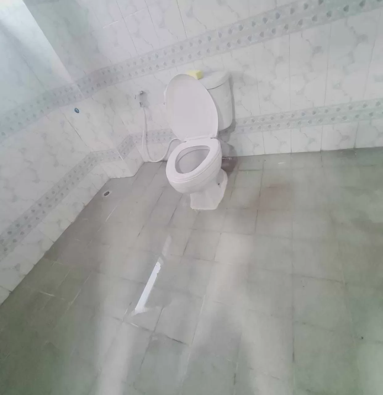 photo_10_2026-03-20_12-09-12