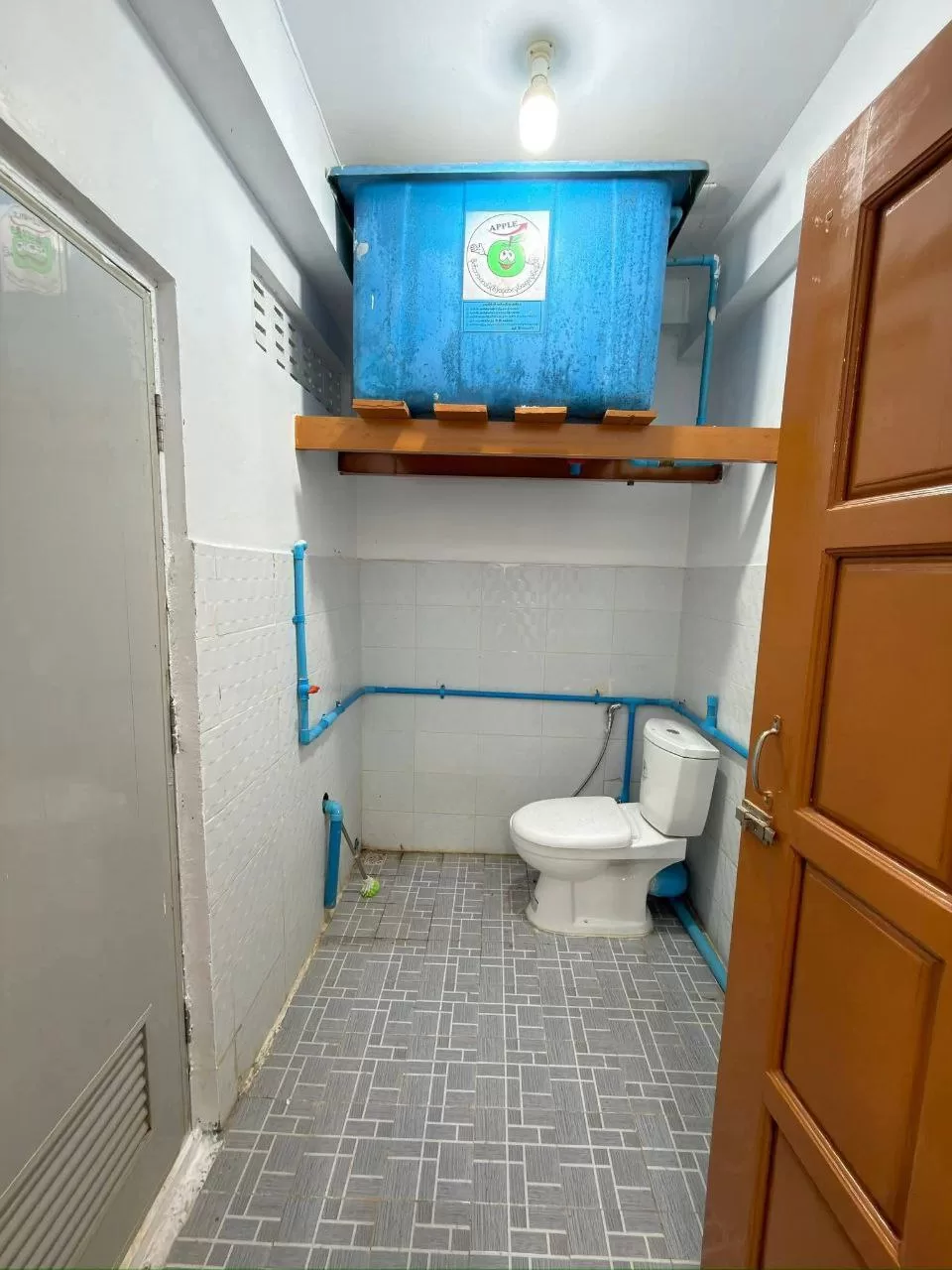 photo_12_2026-03-20_06-11-39