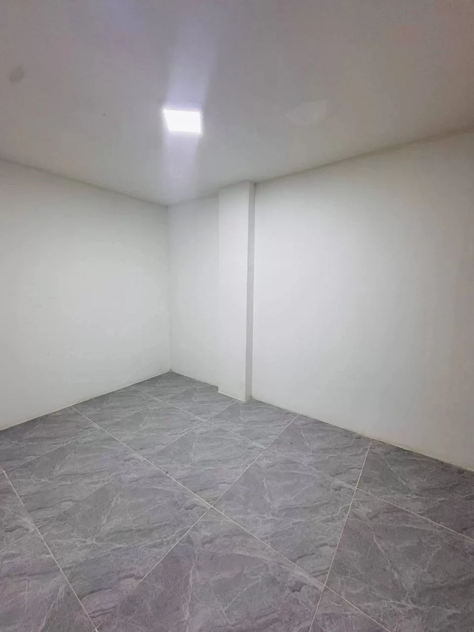 photo_12_2026-03-20_06-51-16