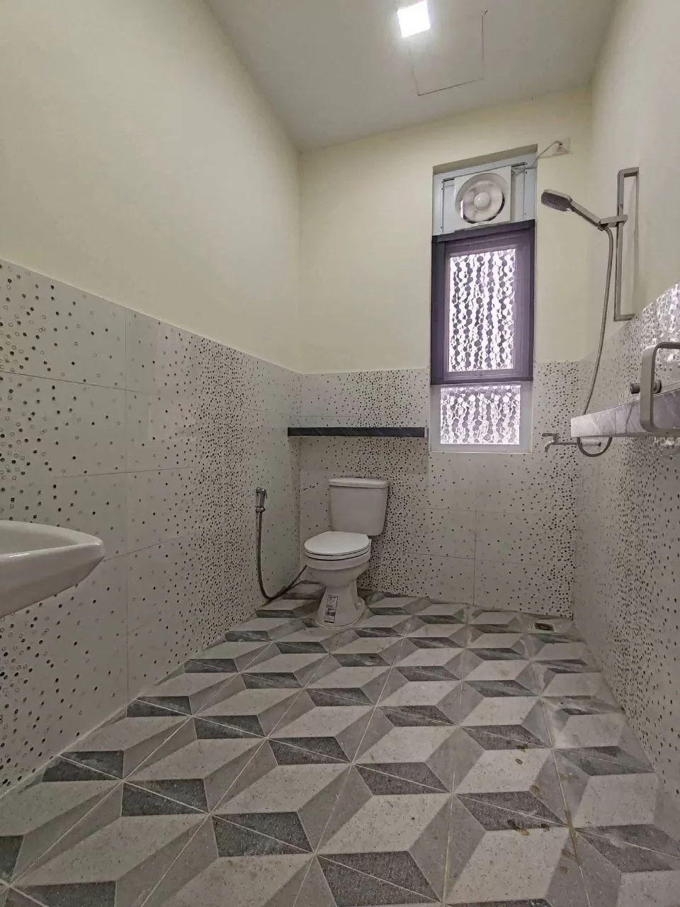 photo_19_2026-03-19_22-17-34