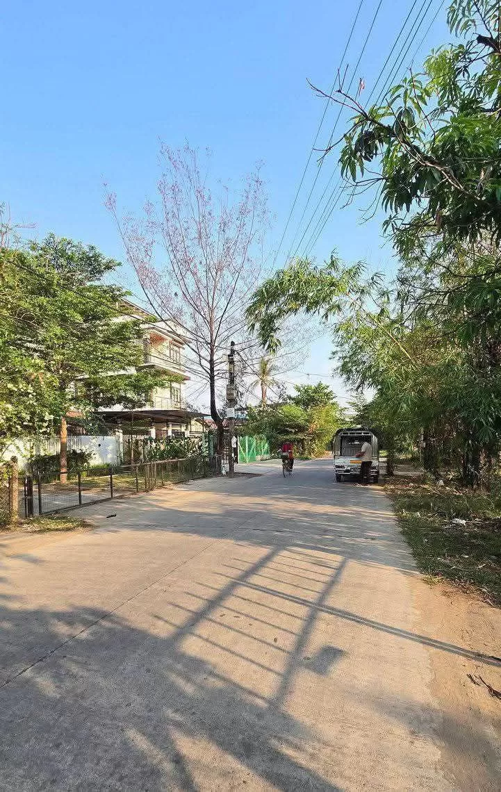 photo_1_2026-03-18_11-44-17