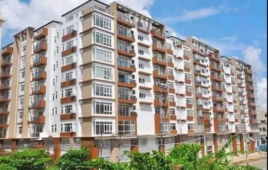 photo_1_2026-03-22_01-44-40