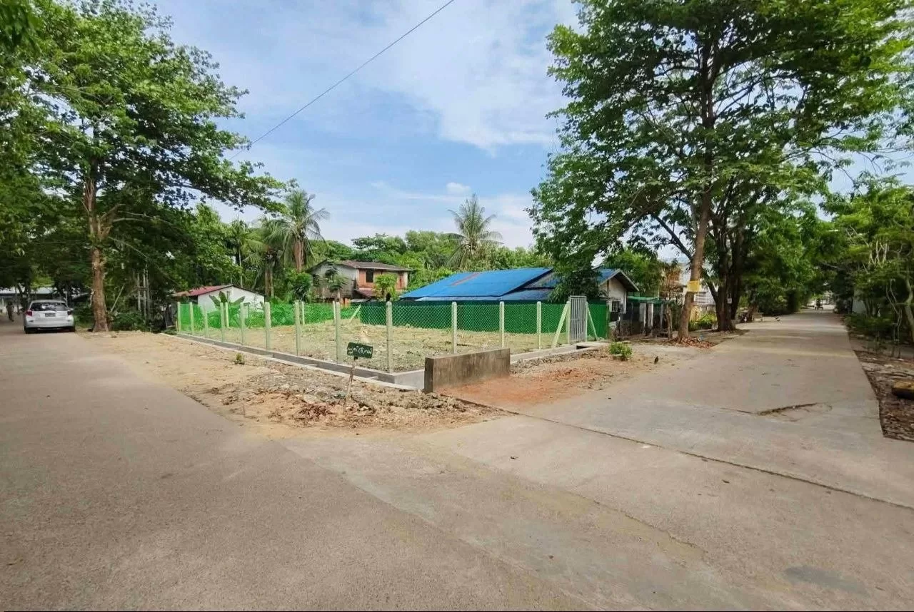 photo_1_2026-03-25_22-50-24