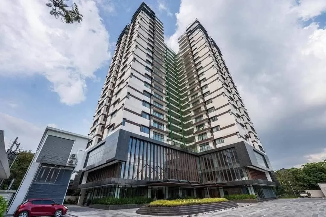 photo_2_2026-03-22_01-48-47