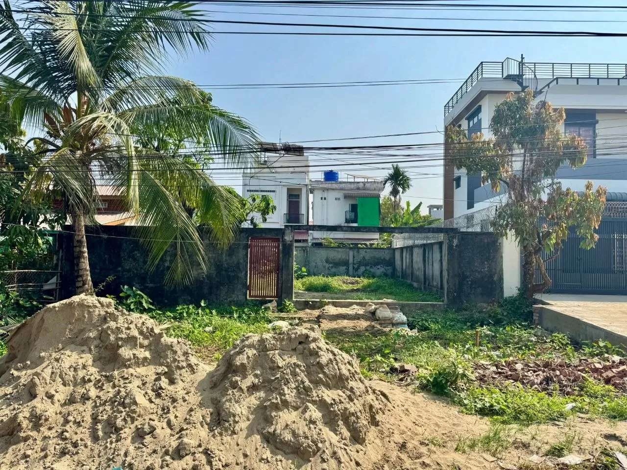 photo_2_2026-03-24_09-50-16