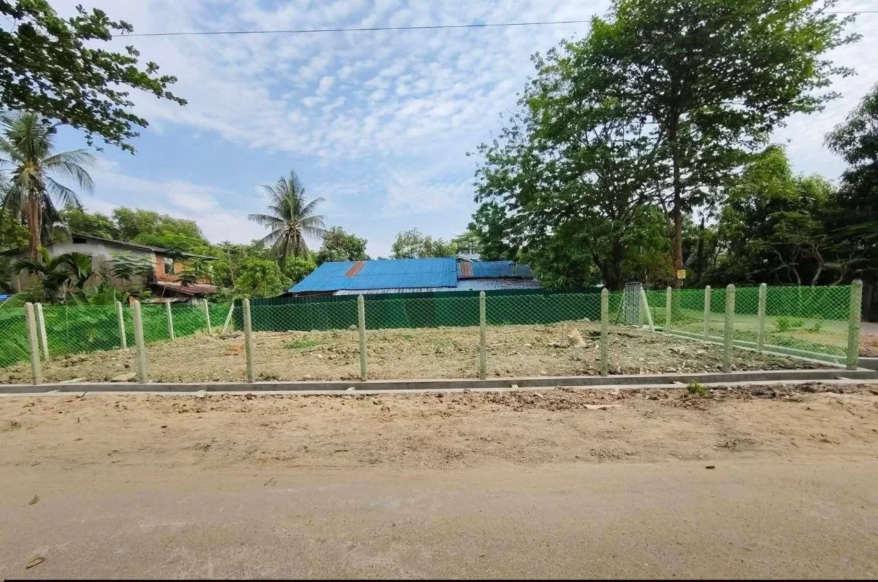 photo_2_2026-03-25_22-50-24