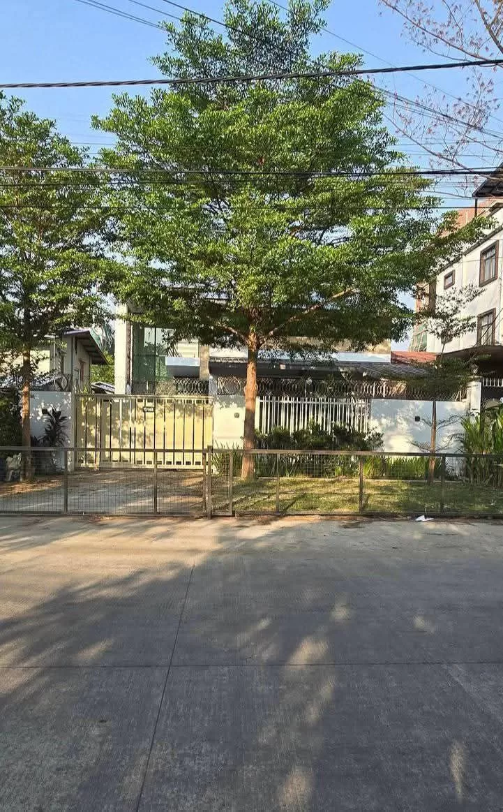 photo_3_2026-03-18_11-44-17