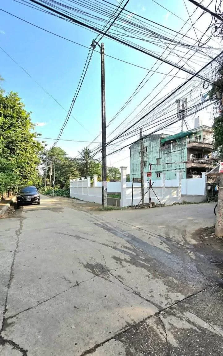 photo_3_2026-03-18_11-48-36