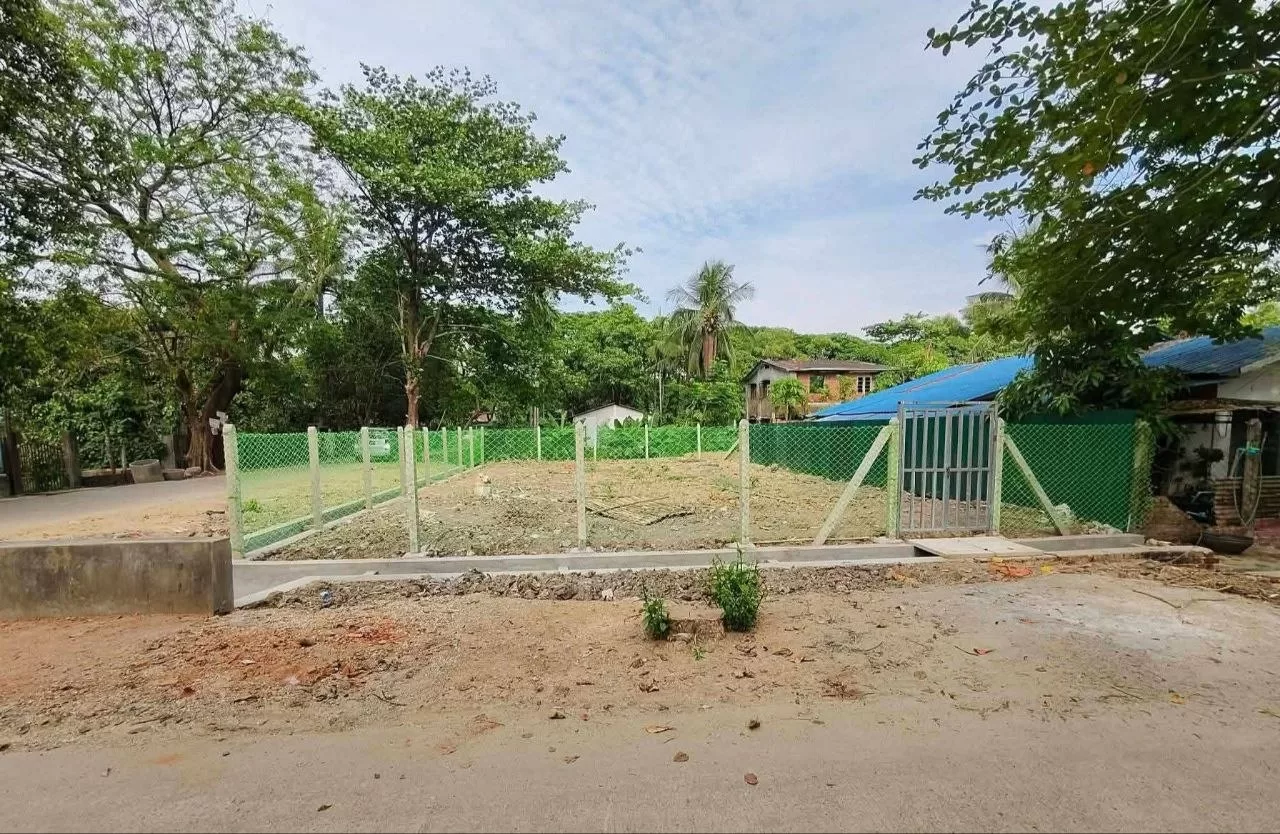 photo_3_2026-03-25_22-50-24