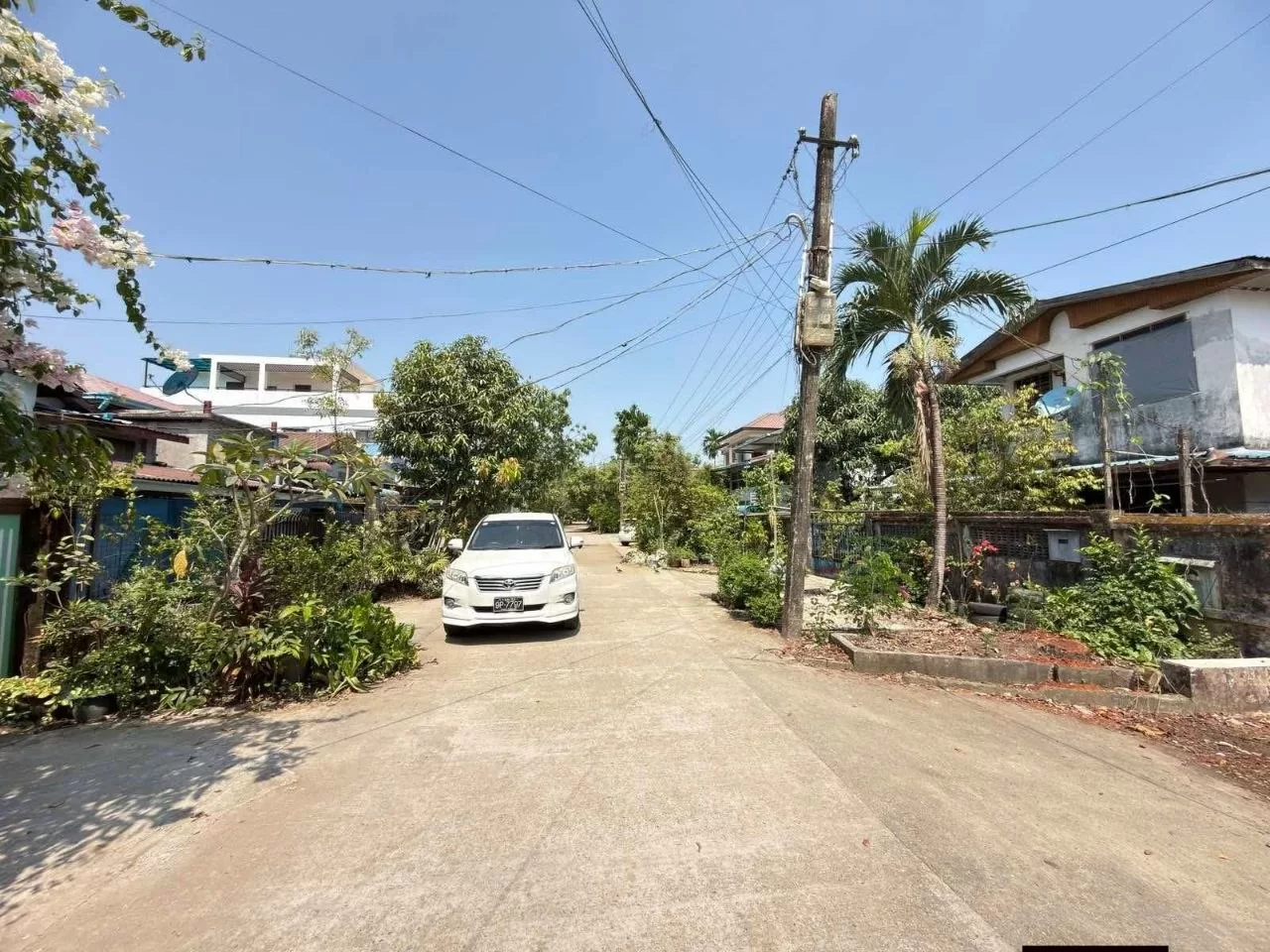 photo_3_2026-03-25_22-53-17