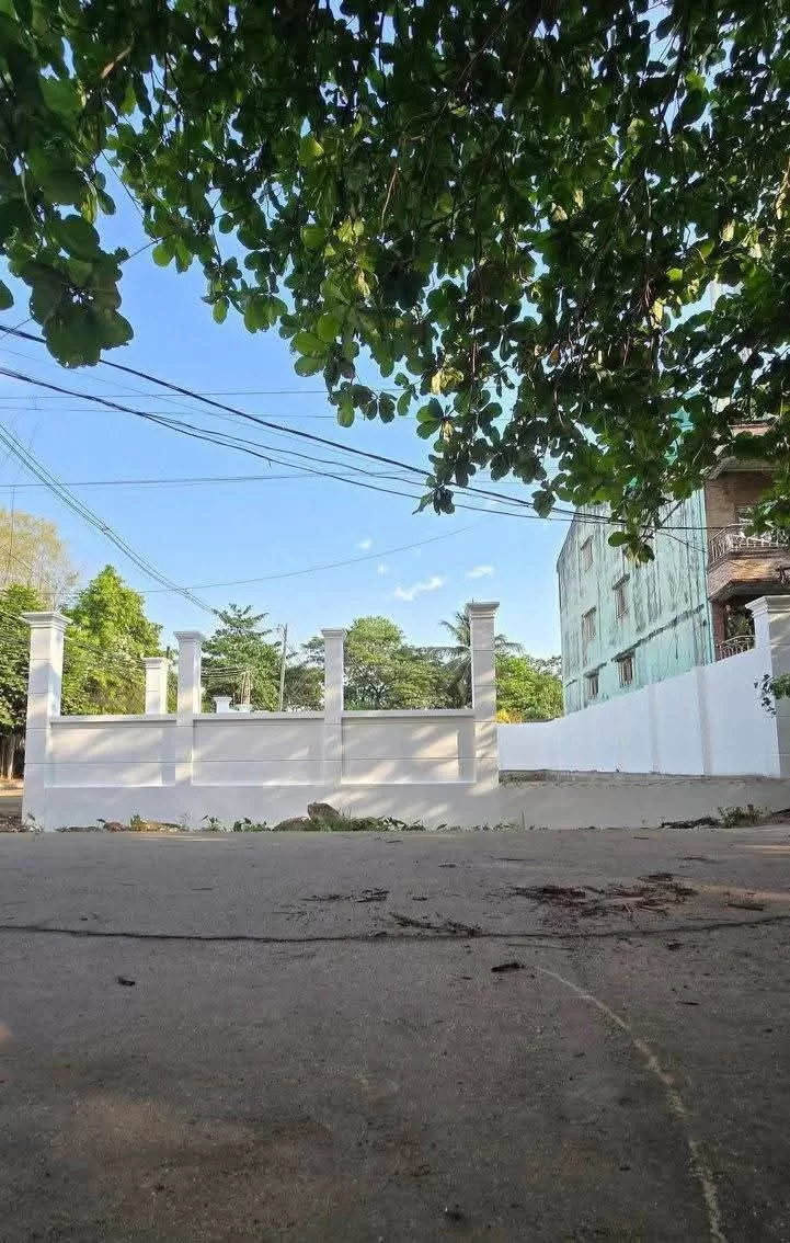 photo_4_2026-03-18_11-48-36