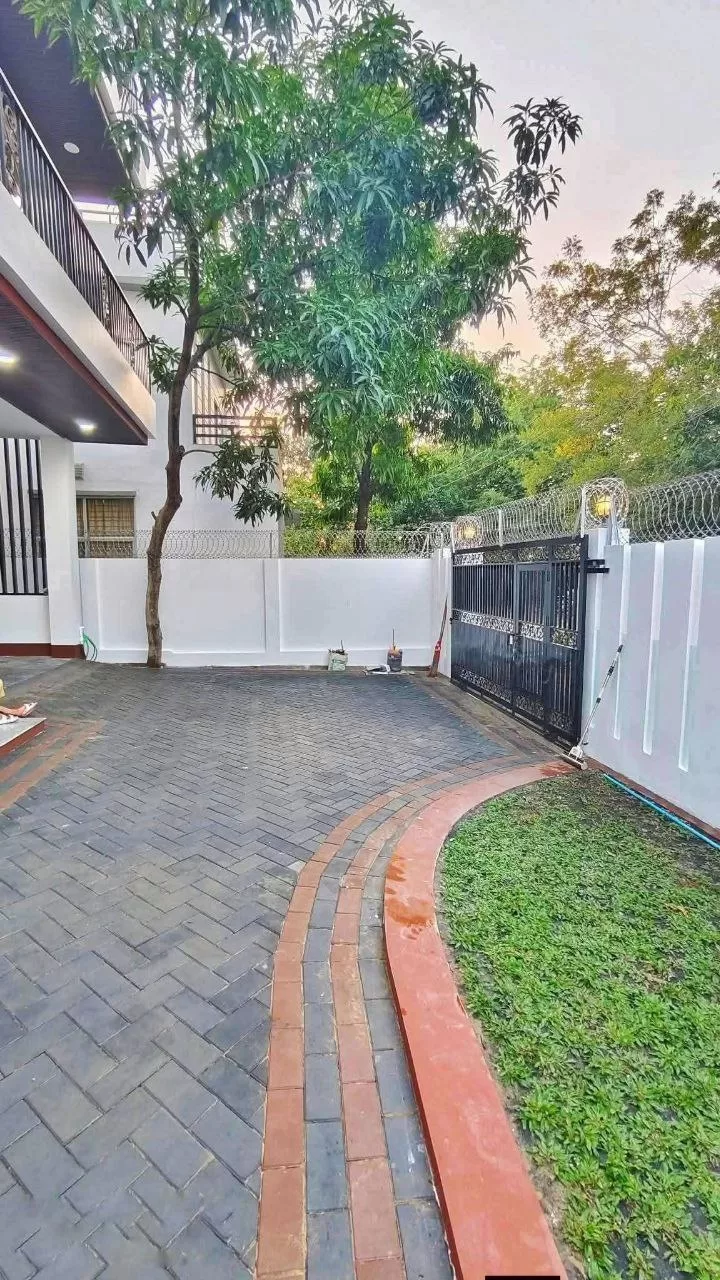 photo_5_2026-03-19_06-54-18